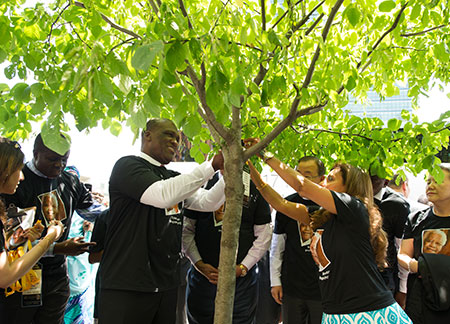Un groupe du personnel de l'ONU prenant soin d'un arbre nouvellement planté dans les rues de Mahattan