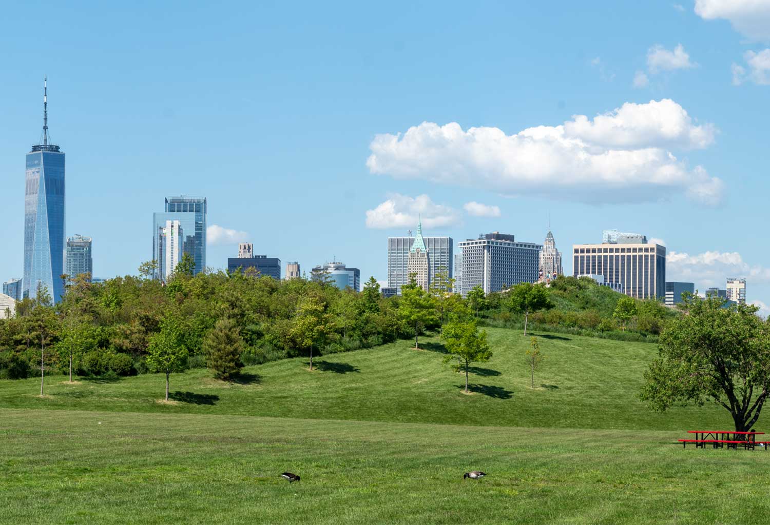 photo of the Manhattan view from Governor's Island