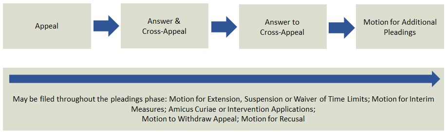 Chart of appeals process, which begins with pleading phase.