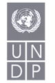 United Nations Development Programme (UNDP) Logo