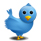 follow us on twitter