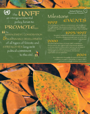 Global Objective on Forests