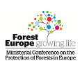 FOREST EUROPE ELM meeting – Work Programme 2021-2024