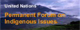 Forum on Indigenous Issues