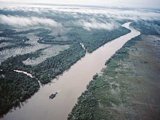 Vue aérienne du Nile