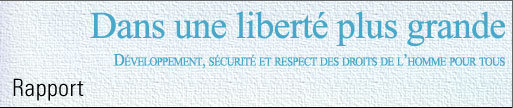 Dans une liberté plus grande >> Développement, sécurité et respect des droits de l'homme pour tous / Rapport