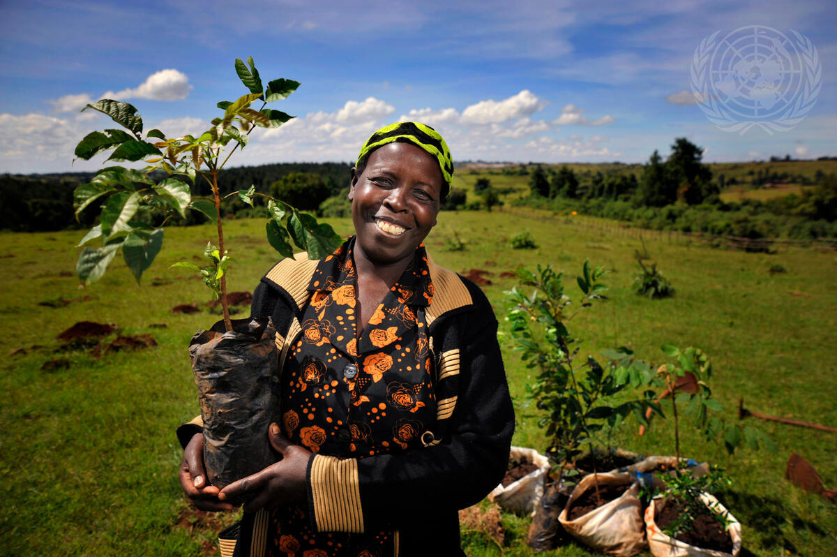 A woman holds a plot with a small tree. 