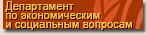 Департамент по экономическим и социальным вопросам