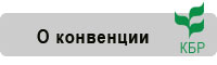 О Конвенции