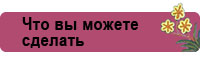 Что вы можете сделать