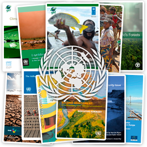UN Documentation Centre on Water and Sanitation website
