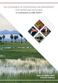 Cover of report The Economics of Ecosystems and Biodiversity for Water and Wetlands