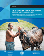 Catalyzing water for sustainable development and growth. Framing Water Within the Post-2015 Development agenda: options and considerations.