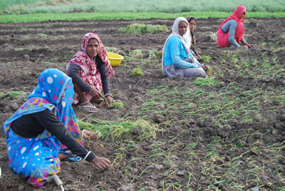 Women farmers in India