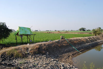 Pond in Dewas district, India