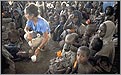 人道主义给非洲儿童发放食物