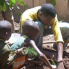 Children at Gisimba’s orphanage plant some trees.