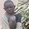 A boy sits on top of a boat filled with sugarcane.