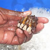 The teeth of Joseph’s mother are washed before burial. The remains of his late mother who was killed in the 1994 genocide were recovered just prior to the "Visions of Rwanda' project.