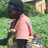 A woman works in the fields while carrying her baby on her back.